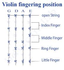 Bd Violin Lab
