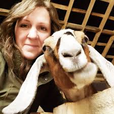 Looking to get permanent cameras for my goat shed. What do y'all use?  hoping to preferably get something that's wireless, and maybe doesn't need  WiFi as it's too far from the house