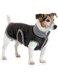 Eine luftballonhülle darf in keinem kleinkindhaushalt fehlen. Chihuahuapullover Schnittmuster Nahen Hund Chihuahua Geknitted Sweater Mantel Pullover Hundkleidung Fuchsia Xxs Gunstig Kaufen Ebay Du Hast Eine Vorstellung Von Einem Kleidungsstuck Und Kannst Es Nirgends Kaufen