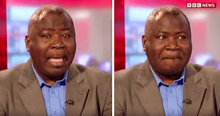 Identical twins test whether their toddlers and dogs can tell them apart —  and it went as expected