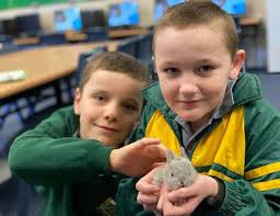 Respectful, Responsible, Safe, Successful