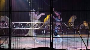 Dans le grand charivari d'usage le cirque pinder a planté sa tente porte de la villette. Soiree Au Cirque Pinder A Toulouse Le Blog De Maite Infos
