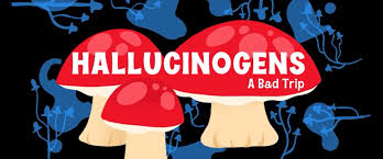 Image result for Hallucinogen