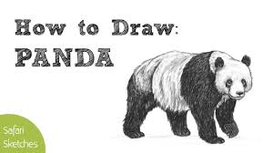 Maybe you would like to learn more about one of these? How To Draw A Panda Realistic Step By Step Youtube