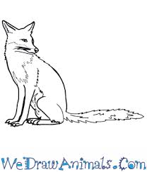 Kawaii fox in winter snow art with snowflakes. How To Draw A Realistic Fox