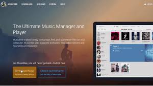 How To Install Musicbee On Windows Youtube