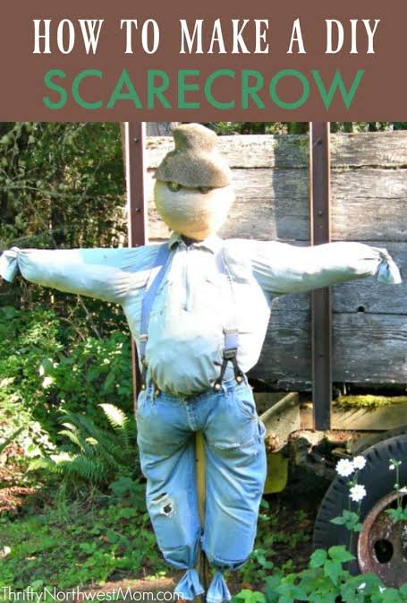 DIY Scarecrow - How to Make A Scarecrow with Items Around The House! -  Thrifty NW Mom