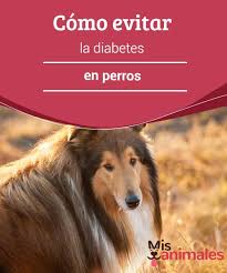 Pin En Salud