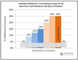 Wobei auch hier die wahrscheinlichkeit schwanger zu werden, häufig überschätzt wird. Leitfaden Fur Frauen Zum Eisprung Medfem Fruchtbarkeitsklinik Sandton