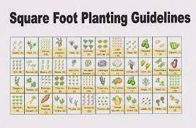 Fall Planting Of Your Square Foot Garden S Square Foot Gardening Layout Square Foot Gardening Plans Square Foot Gardening