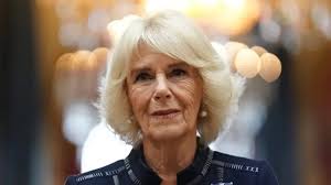 Ratu Camilla Ingin Terabas Protokol Kerajaan, tapi Ditolak Putri Anne  dengan Senyum Sopan