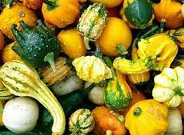 Most bush varieties of zucchini are considered summer squash, while vine varieties are considered winter squash. Lectins In Food Foods From S O I L
