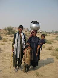 30 october 2020 latest price of chicken meat in lahore city is minmum rs. Rapid Change Of Strategy Is Necessary For Development Of Dromedary Camel Pastoralism In The Cholistan Desert Of Pakistan Springerlink