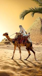 Egypt desert background illustration with moon, pyramids and star at night. Arab Man Camel Desert Egypt Male Palm Tree Pyramid Sand Hd Mobile Wallpaper Peakpx