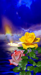 Bellezas De La Naturaleza Beautiful Flowers Wallpapers Beautiful Nature Wallpaper Beautiful Photography Nature