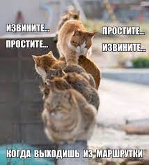 Картинки ну очень смешно (40 фото) • Прикольные картинки и позитив