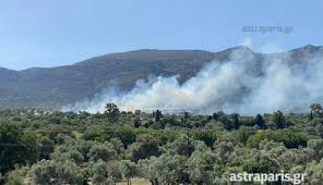 Σε εξέλιξη βρίσκεται φωτιά σε αγροτοδασική έκταση στην περιοχή της βιαλ στη χίο. Xios Fwtia Konta Sto Kyt Ths Bial