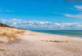 Es gibt feine sandstrände und idyllische steinstrände. Die Schonsten Strande In Danemark Strandurlaub Danemark Weg De