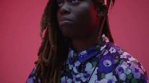 T60HGpc Premium 100% Tropical Acacia 12 String Parlor sized harp guita