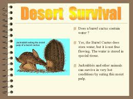 Learn about this large cactus at howstuffworks. 4 How Do Animals And Plants Survive In