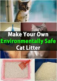 Emilypets cat litter is safe for people and pets because it contains no chemical or silica dust. Huge Money Saver Make Your Own Environmentally Safe Cat Litter Cat Litter Cats Cat Litter Brands