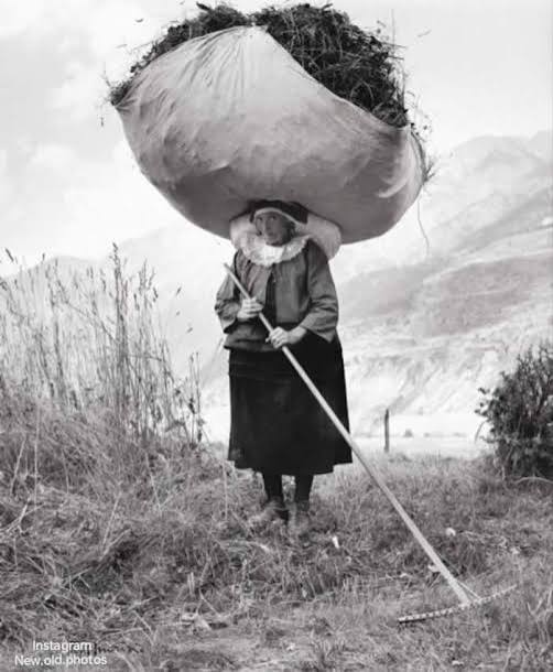 25 Old Historical Photos Showcasing a Century of Change