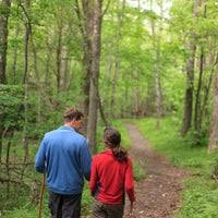 Sri swagath inn, hyderabad (intia). The Swag Country Inn 4 Tips