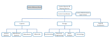 Management Structure