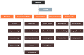 Corporate Org Chart Templates From Startups To Enterprises
