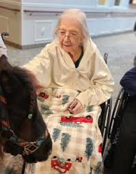 Serene Gardens of...