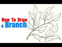 How do you draw an oak tree? How To Draw Tree Branches Full Of Leaves Drawing Tutorial How To Draw Step By Step Drawing Tutorials How To Draw Tree Drawing Tutorial Leaf Drawing