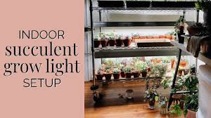 Winter Grow Light Setup For Succulents And Indoor Plants Living The Gray Life