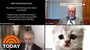 Lawyer accidentally appears in online court with a cat filter over his face. Lawyer Who Couldn T Turn Off Cat Filter In Zoom I Don T Know How It Got On Today Youtube