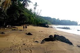 Drake bay, costa rica, corcovado national park, wild life photography, landscape photography, tropical jungle kathy and i were on a hike along the jungle and oceans edge in drake's bay, costa rica. Wildlife In Corcovado National Park Erika S Travels