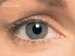 I have short, very thin lashes and for years. Say Goodbye To Thin Eyelashes Westside Aesthetics