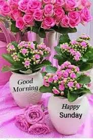 We did not find results for: Happy Sunday Good Morning Images In Hindi Photo Of The Day Goodnightimagenet