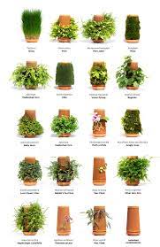 Select from a range of tools and materials for all your garden needs. Pin On Home