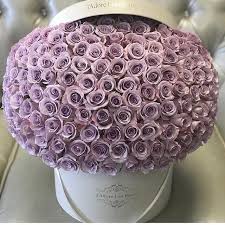 Pin By Dijana Schindel On Leona Noon S Fabulous Fantasy Collection World Lavender Roses Same Day Flower Delivery Nature Images Flowers