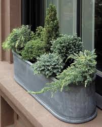 Jardin D Hiver En Pot Plantes Ornementales A Privilegier Trucs Et Astuces Jardinieres D Hiver Jardin D Hiver Jardins