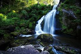 The forest game free download torrent the forest game is a mix of many genres: Hd Wallpaper Waterfall Black Forest Nature Waters Torrent Triberg Tree Wallpaper Flare
