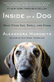Check spelling or type a new query. Inside Of A Dog Book By Alexandra Horowitz Official Publisher Page Simon Schuster