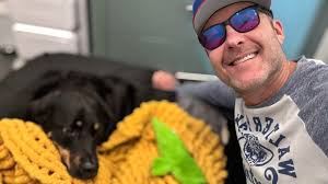 My baby girl Blanche had CCL surgery