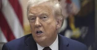 Contributor: No military strategy can stop Mexico's cartels