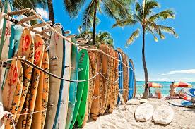 Sprachaufenthalt Hawaii Usa Englisch Lernen Und Surfen