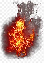 Most popular most recent trending featured free premium. Fire Flame Flame Effects Fire Effect Orange Png Pngegg