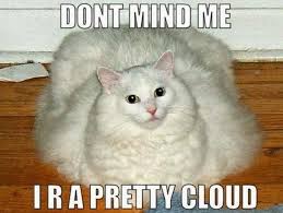 Fat tuxedo cat sticker sheet fat cat lover sticker funny | etsy. 60 Cutest Cat Meme Meme Central