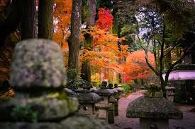 Pin Von Anke Winter Auf Asia Laternen Laterne Garten Garten Und Japan