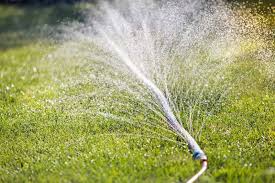 Mypillow guy makes a dr seuss ad and pokes a little fun at cancel culture. 7 Best Garden Hoses For 2021 A Gardener S Path Buying Guide