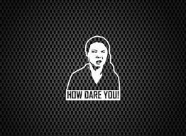How Dare You Greta Thunberg Meme Funny Car Window Sticker Laptop Vinyl In 2020 Vinyl Decals Vinyl Decal Stickers Vinyl