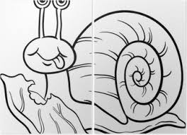Select from 35970 printable coloring pages of cartoons, animals, nature, bible and many more. Snail And Lettuce Coloring Page Poster Pixers We Live To Change